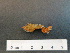  ( - I15_18)  @11 [ ] Copyright © (2025) Terue Cristina Kihara German Center for Marine Biodiversity Research