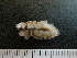  ( - I15_273)  @11 [ ] Copyright © (2025) Terue Cristina Kihara German Center for Marine Biodiversity Research