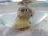  ( - I16_156)  @11 [ ] Copyright © (2025) Terue Cristina Kihara German Center for Marine Biodiversity Research