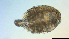  ( - I18_Ma_420)  @11 [ ] Copyright (2025) Levin Wieschermann Senckenberg am Meer Wilhelmshaven, Department German Centre for Marine Biodiversity Research
