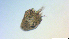  ( - I18_Ma_449)  @11 [ ] Copyright (2025) Levin Wieschermann Senckenberg am Meer Wilhelmshaven, Department German Centre for Marine Biodiversity Research