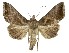  ( - NPC001)  @11 [ ] Unspecified (default): All Rights Reserved  Unspecified Unspecified