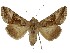 ( - NPC002)  @11 [ ] Unspecified (default): All Rights Reserved  Unspecified Unspecified