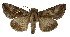  ( - NPC004)  @11 [ ] Unspecified (default): All Rights Reserved  Unspecified Unspecified