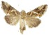  ( - NPC006)  @15 [ ] Unspecified (default): All Rights Reserved  Unspecified Unspecified
