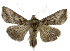  ( - NPC019)  @11 [ ] Unspecified (default): All Rights Reserved  Unspecified Unspecified
