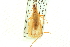  ( - BIOUG02793-D06)  @12 [ ] CreativeCommons - Attribution (2012) CBG Photography Group Centre for Biodiversity Genomics