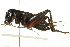  ( - BIOUG02793-E12)  @14 [ ] CreativeCommons - Attribution (2012) CBG Photography Group Centre for Biodiversity Genomics
