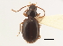  ( - BIOUG09879-B04)  @11 [ ] CreativeCommons - Attribution (2014) CBG Photography Group Centre for Biodiversity Genomics
