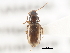  ( - BIOUG09879-E04)  @11 [ ] CreativeCommons - Attribution (2014) CBG Photography Group Centre for Biodiversity Genomics