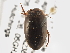  ( - BIOUG09882-A10)  @13 [ ] CreativeCommons - Attribution (2014) CBG Photography Group Centre for Biodiversity Genomics