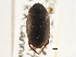  ( - BIOUG09882-B06)  @11 [ ] CreativeCommons - Attribution (2014) CBG Photography Group Centre for Biodiversity Genomics