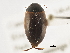  ( - BIOUG09882-B08)  @13 [ ] CreativeCommons - Attribution (2014) CBG Photography Group Centre for Biodiversity Genomics