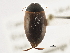  ( - BIOUG09882-B10)  @13 [ ] CreativeCommons - Attribution (2014) CBG Photography Group Centre for Biodiversity Genomics