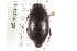  ( - BIOUG09882-C05)  @14 [ ] CreativeCommons - Attribution (2014) CBG Photography Group Centre for Biodiversity Genomics