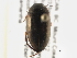  ( - BIOUG09882-H02)  @12 [ ] CreativeCommons - Attribution (2014) CBG Photography Group Centre for Biodiversity Genomics