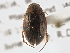  ( - BIOUG09882-H03)  @13 [ ] CreativeCommons - Attribution (2014) CBG Photography Group Centre for Biodiversity Genomics