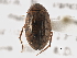  ( - BIOUG09882-H04)  @14 [ ] CreativeCommons - Attribution (2014) CBG Photography Group Centre for Biodiversity Genomics