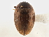  ( - BIOUG09883-B07)  @11 [ ] CreativeCommons - Attribution (2014) CBG Photography Group Centre for Biodiversity Genomics