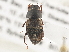  ( - BIOUG09885-A09)  @11 [ ] CreativeCommons - Attribution (2014) CBG Photography Group Centre for Biodiversity Genomics