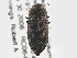  ( - BIOUG09885-G04)  @14 [ ] CreativeCommons - Attribution (2014) CBG Photography Group Centre for Biodiversity Genomics