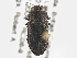  ( - BIOUG09885-G05)  @13 [ ] CreativeCommons - Attribution (2014) CBG Photography Group Centre for Biodiversity Genomics