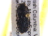  ( - BIOUG09886-A05)  @13 [ ] CreativeCommons - Attribution (2014) CBG Photography Group Centre for Biodiversity Genomics