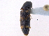  ( - BIOUG09886-F07)  @14 [ ] CreativeCommons - Attribution (2014) CBG Photography Group Centre for Biodiversity Genomics