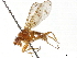  ( - BIOUG47277-A03)  @14 [ ] CreativeCommons - Attribution (2019) CBG Photography Group Centre for Biodiversity Genomics
