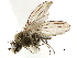  ( - BIOUG47277-E05)  @11 [ ] CreativeCommons - Attribution (2019) CBG Photography Group Centre for Biodiversity Genomics