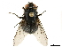  ( - BIOUG47277-F09)  @14 [ ] CreativeCommons - Attribution (2019) CBG Photography Group Centre for Biodiversity Genomics