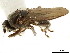  ( - BIOUG47277-G12)  @11 [ ] CreativeCommons - Attribution (2019) CBG Photography Group Centre for Biodiversity Genomics