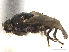  ( - BIOUG47277-H07)  @11 [ ] CreativeCommons - Attribution (2019) CBG Photography Group Centre for Biodiversity Genomics