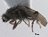  ( - BIOUG47277-H09)  @11 [ ] CreativeCommons - Attribution (2019) CBG Photography Group Centre for Biodiversity Genomics