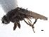 ( - BIOUG47277-H10)  @11 [ ] CreativeCommons - Attribution (2019) CBG Photography Group Centre for Biodiversity Genomics