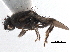  ( - BIOUG47277-H11)  @11 [ ] CreativeCommons - Attribution (2019) CBG Photography Group Centre for Biodiversity Genomics