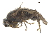  ( - BIOUG47278-B01)  @11 [ ] CreativeCommons - Attribution (2019) CBG Photography Group Centre for Biodiversity Genomics