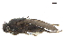  ( - BIOUG47278-B02)  @11 [ ] CreativeCommons - Attribution (2019) CBG Photography Group Centre for Biodiversity Genomics