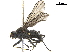  ( - BIOUG47278-G09)  @11 [ ] CreativeCommons - Attribution (2019) CBG Photography Group Centre for Biodiversity Genomics