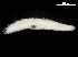  ( - BIOUG47278-G12)  @11 [ ] CreativeCommons - Attribution (2019) CBG Photography Group Centre for Biodiversity Genomics