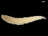  ( - BIOUG47278-H03)  @11 [ ] CreativeCommons - Attribution (2019) CBG Photography Group Centre for Biodiversity Genomics