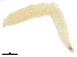  ( - BIOUG47278-H05)  @11 [ ] CreativeCommons - Attribution (2019) CBG Photography Group Centre for Biodiversity Genomics