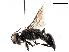  ( - BIOUG56822-C02)  @11 [ ] CreativeCommons - Attribution (2021) CBG Photography Group Centre for Biodiversity Genomics
