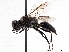  ( - BIOUG56822-C04)  @11 [ ] CreativeCommons - Attribution (2021) CBG Photography Group Centre for Biodiversity Genomics