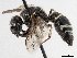  ( - BIOUG56823-A09)  @11 [ ] CreativeCommons - Attribution (2021) CBG Photography Group Centre for Biodiversity Genomics