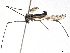  ( - BIOUG56824-F04)  @11 [ ] CreativeCommons - Attribution (2021) CBG Photography Group Centre for Biodiversity Genomics
