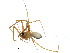  ( - CCDB-24287-F04)  @14 [ ] CreativeCommons - Attribution (2015) CBG Photography Group Centre for Biodiversity Genomics