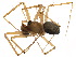  ( - CCDB-24287-G07)  @11 [ ] CreativeCommons - Attribution (2015) CBG Photography Group Centre for Biodiversity Genomics