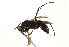 ( - CCDB-28551-C12)  @13 [ ] CreativeCommons - Attribution (2015) CBG Photography Group Centre for Biodiversity Genomics
