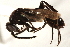  ( - CCDB-28551-D01)  @13 [ ] CreativeCommons - Attribution (2015) CBG Photography Group Centre for Biodiversity Genomics